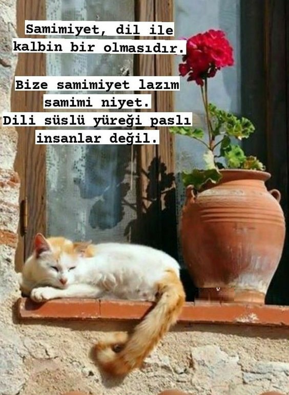 GUZEL SOZLER 4R Güzel Sözler ; Kısa, Etkili, instagram sözleri.